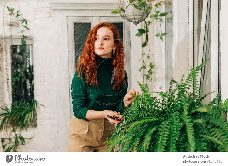 Woman cutting leaf of fern at home woman plant scissors care branch houseplant garden hobby foliage female grow potted serious ginger hair growth stalk fresh