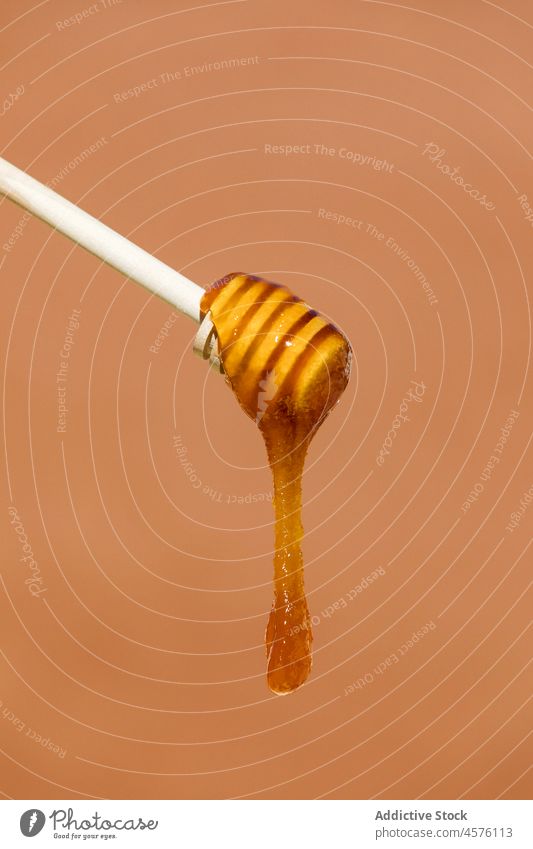 Honey dripping from wooden spoon honey sweet dripper dipper utensil dessert healthy natural tasty studio delicious yummy brown viscous nutrition sugar organic