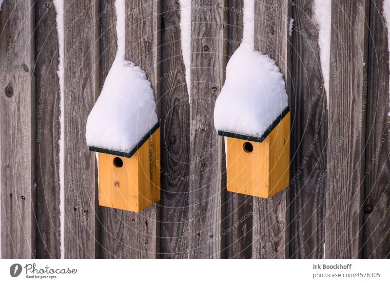 2 birdhouses with snow covered roofs Ice Frost Snow Cold Birdhouse Deserted Day Exterior shot Colour photo Environment Winter Nature Exceptional Wood Garden