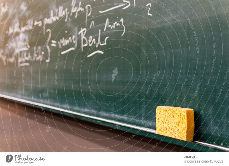 Board with sponge Blackboard Academic studies Education School Sponge Green Write Study Know Science & Research Lecture hall Teacher Concentrate