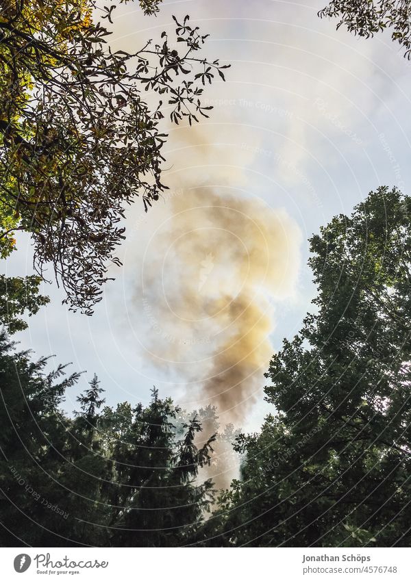dark smoke in the forest climate crisis Smoke High spirits Arrogant Responsibility Emission Climate change Environmental damage Exterior shot