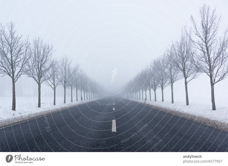 A country road in winter with bare trees on the side of the road adventure asphalt beautiful challenge cold connecting copy space countryside danger dangerous