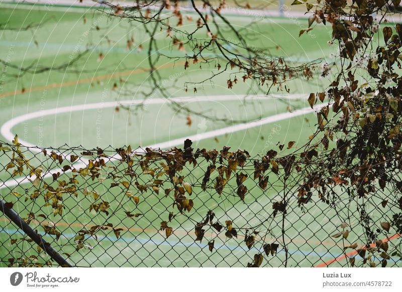 An empty sports field from above, framed by wire mesh fence and autumn leaves Fence Wire netting Wire netting fence Sporting grounds Autumn leaves Deserted
