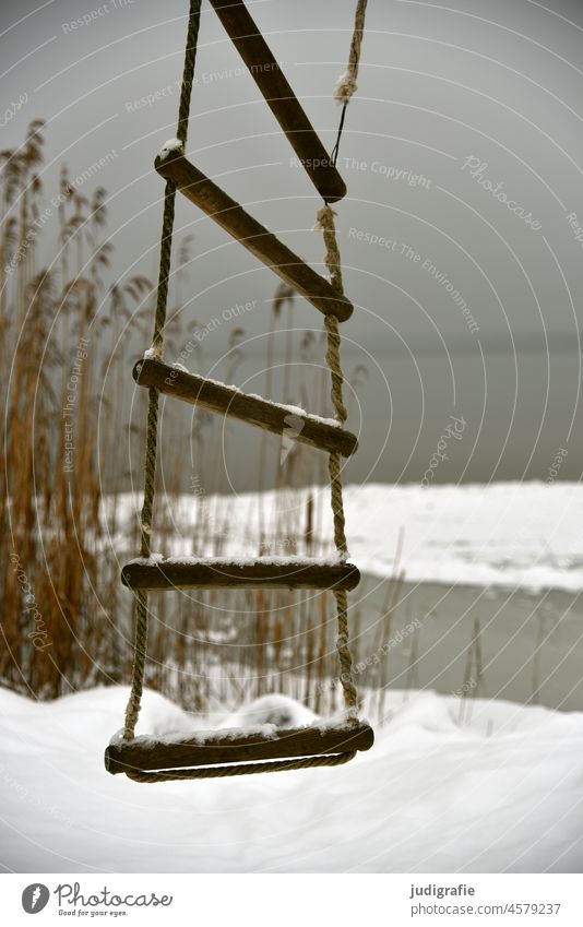 Rope ladder in winter landscape Ladder Snow Winter Lake Lakeside Lake shore in winter Ice Frost Cold Nature Frozen White reed Climbing Fog Haze tranquillity