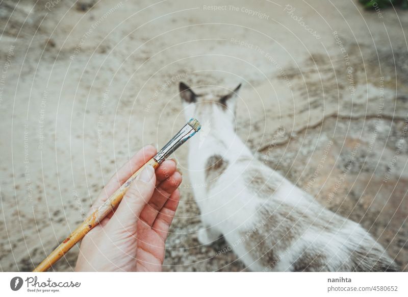 Hand holding a brush with oil paint art artist hand background texture pov point of view blur bokeh outdoors artistic job work leisure hobby cat pet animal