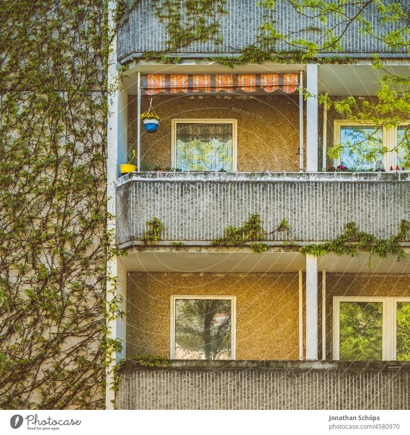overgrown facade with balconies on prefabricated apartments trees Tree Green Summer block of flats dwell living environment Rent Apartment Building