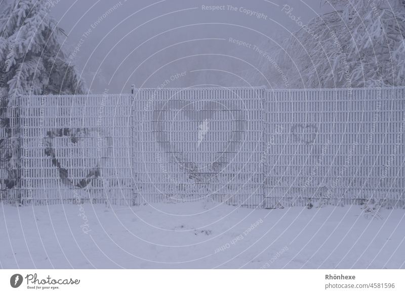 Declaration of love on a snowy fence.... Winter Snow Cold Hoar frost Frost Frozen Nature Exterior shot December Fog Weather Heart Copy Space bottom Winter mood