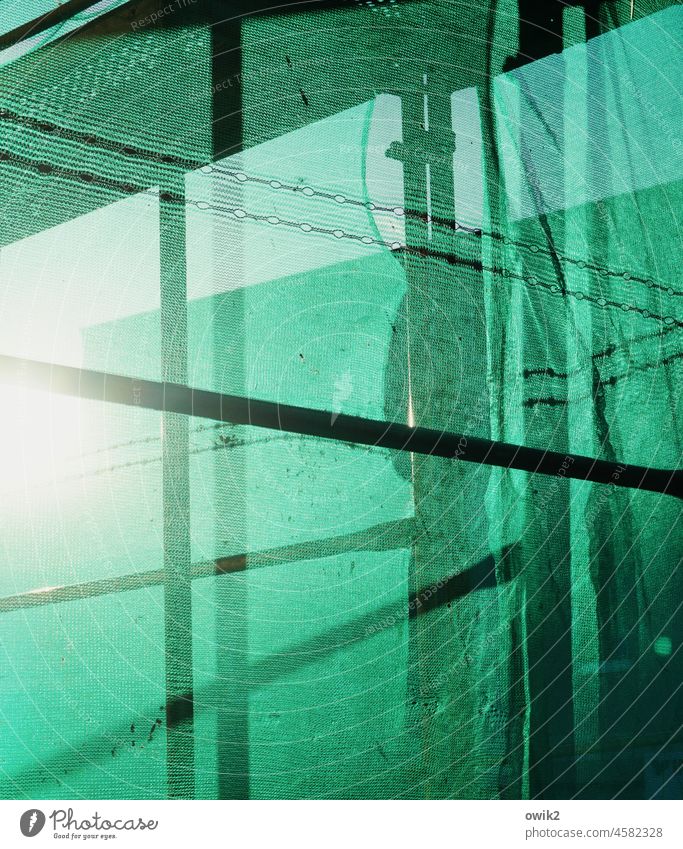 Bright green building tarpaulin Tarp Close-up weave Scaffolding Sunlight Exterior shot Mysterious Covers (Construction) Detail Structures and shapes Plastic Net