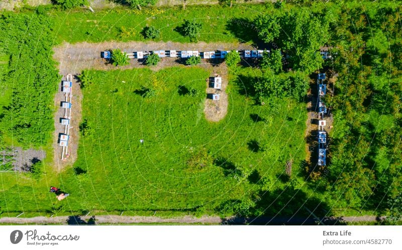 Aerial view of beekeeper as he mowing a lawn in his apiary with a petrol lawn mower Above Agriculture Apiarist Apiary Apiculture Bee Beehive Beekeeper