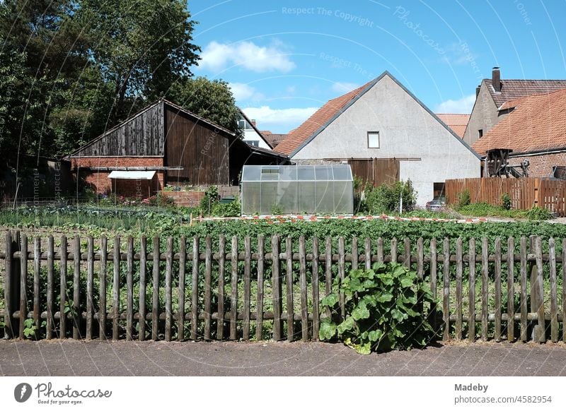 Wooden fence in front of vegetable garden with greenhouse in front of a farm in summer with blue sky and sunshine in Alverdissen near Barntrup in the district of Lippe in East Westphalia-Lippe