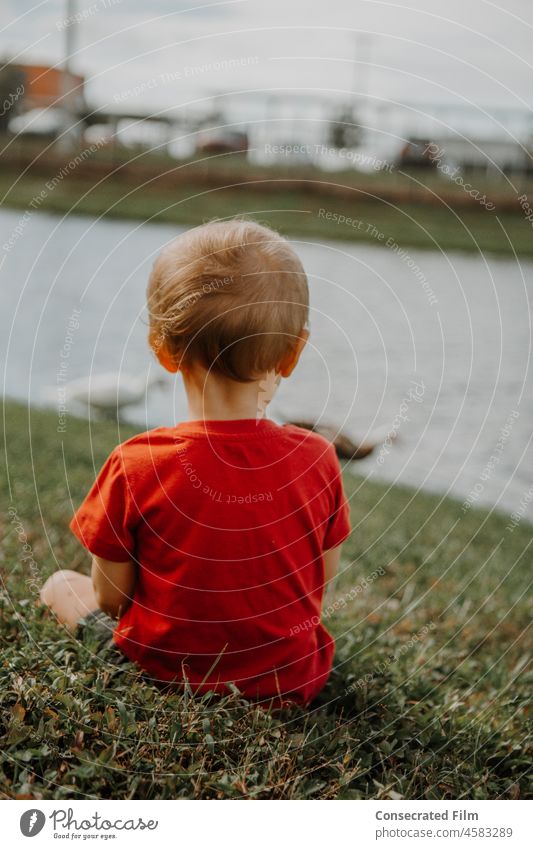Little golden blonde boy sitting in the grass watching the ducks at the edge of a pond Cute Adorable Wonderful Travel Pond Lake Ducks Animals Joy Peace