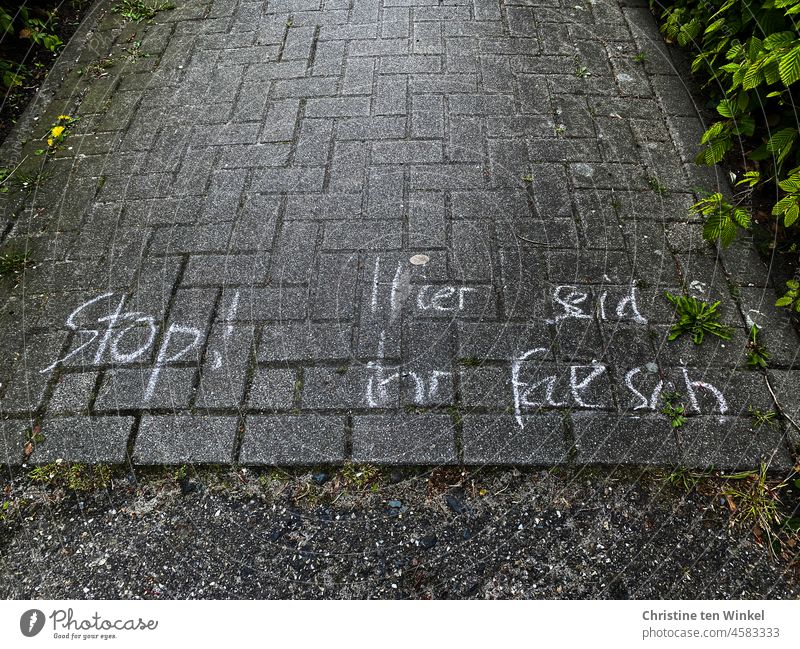 "Stop! You're in the wrong place" is written in chalk on the pavement. stop False lettering Characters Letters (alphabet) Word Text leap Write Communicate