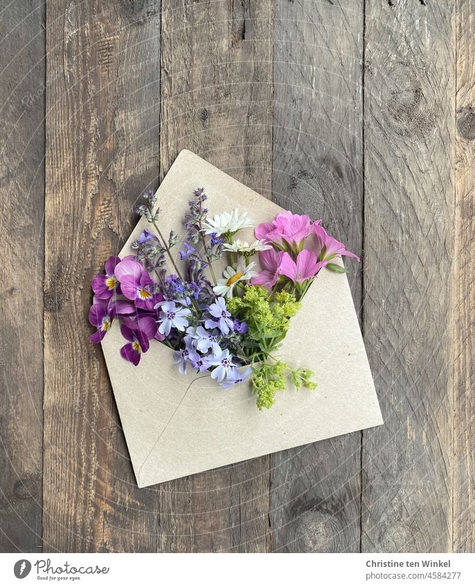 Fresh flowers are stuck in an envelope lying on a weathered wooden background blossoms floral greeting heralds of spring Envelope (Mail) Wood backing Spring