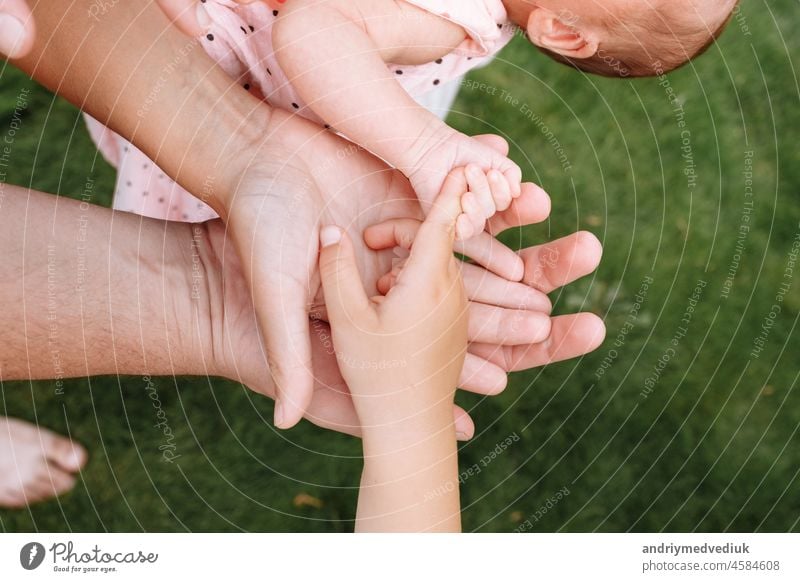 Hands of the whole family. Hands of mom, dad and children. Four hands of the family. The concept of unity, support, protection and happiness. together love team