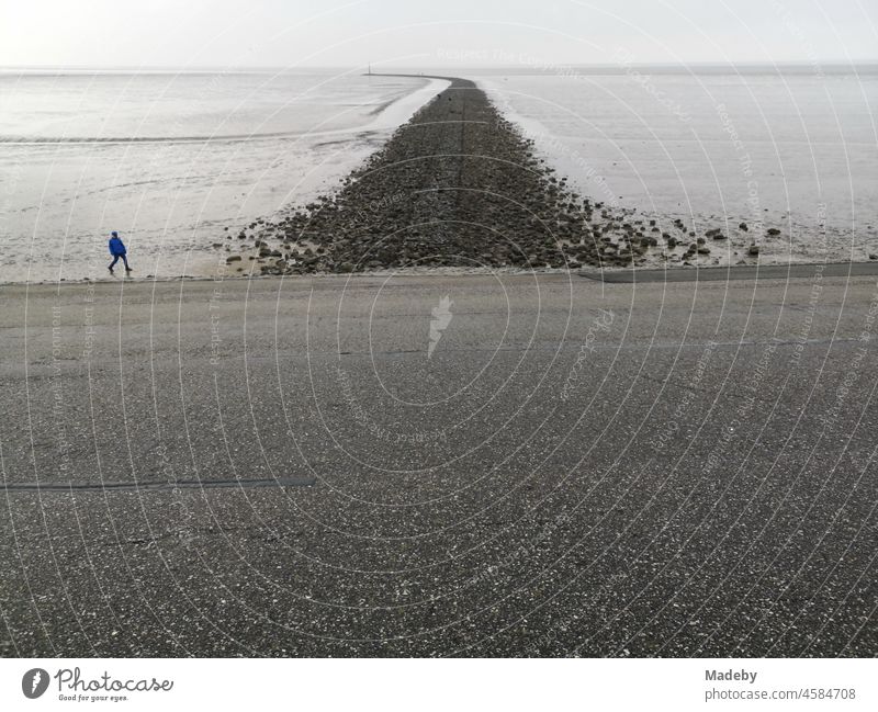 The Wadden Sea World Heritage Site with asphalted dike on the coast of the North Sea in Norddeich near Norden in East Frisia in Lower Saxony Mud flats watt