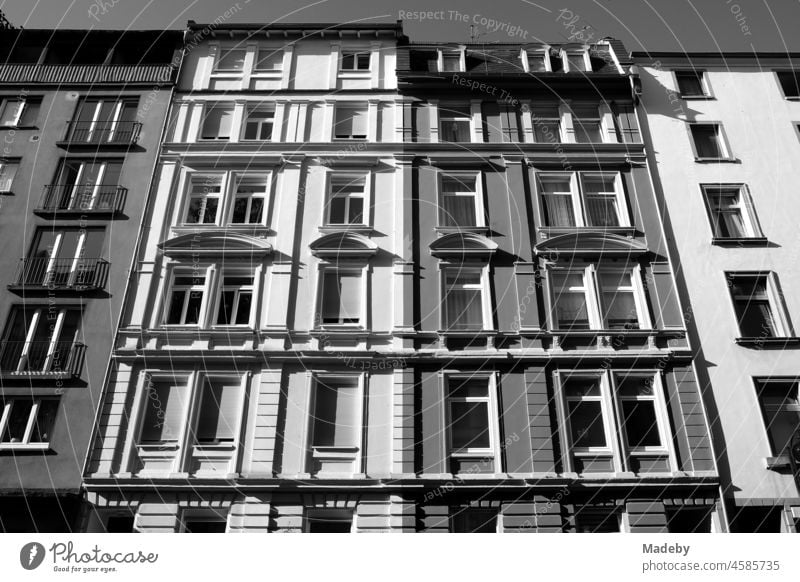Beautiful renovated facade of old buildings in summer sunshine in the north end of Frankfurt am Main in Hesse, photographed in neo-realistic black and white
