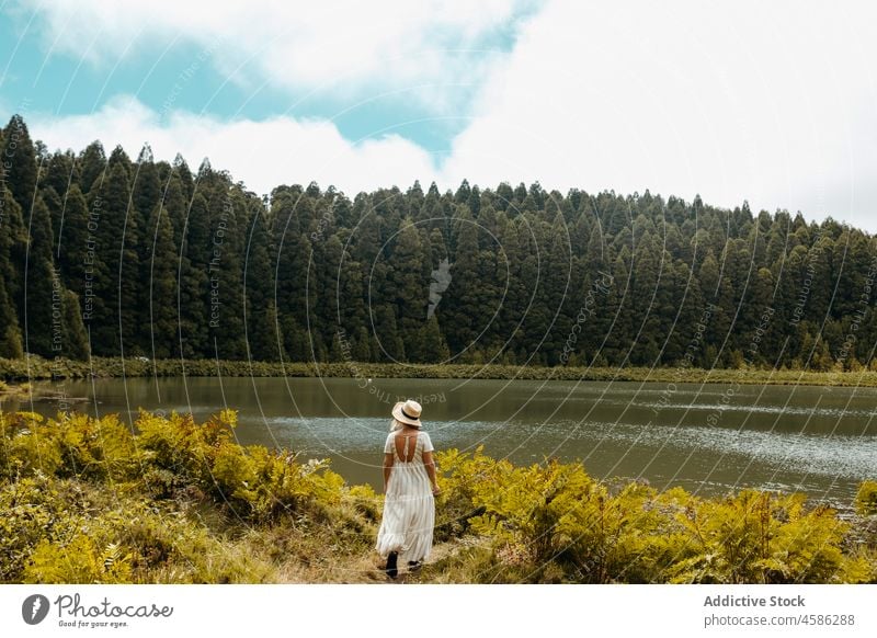 Anonymous woman standing near lake and forest nature coniferous shore summer woods lakeside travel female calm tree dress relax water blue sky coast serene hat