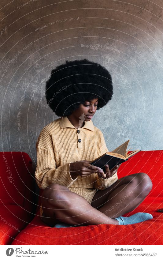 Black woman reading book on sofa couch home literature free time comfort relax female black african american afro attentive hobby young concentrate novel rest
