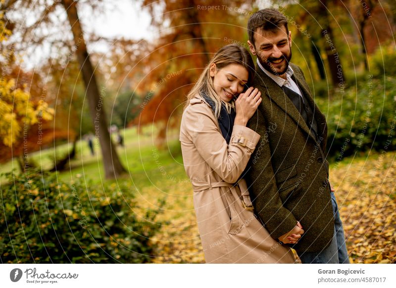 Young couple walking in the autumn park romance love two relationship nature lifestyle girlfriend woman boyfriend fall happiness leisure together people