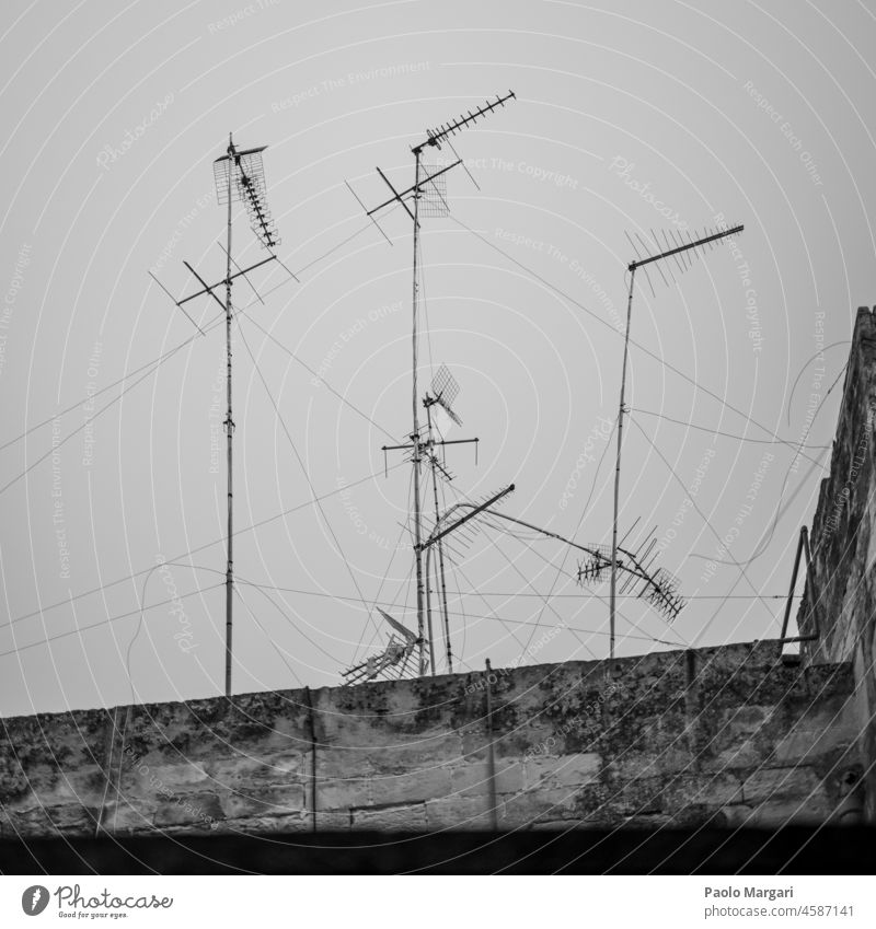 Old television aerials on the roof of old abandoned houses in the historic center of Lecce, Salento, Puglia, Italia lecce antenne tv communication leccese