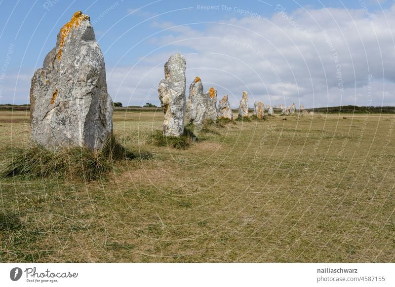 Brittany France Rock stones Stone rows from Lagatjar Landscape Nature Meadow Grass Grass green Sky Blue sky Horizon Clouds Monument Green Yellow