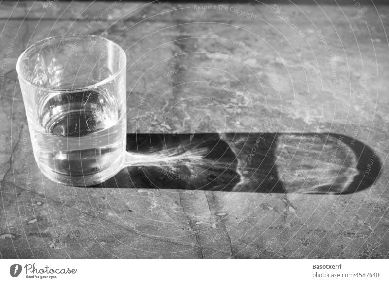 Half full or half empty? Scratched water glass with long shadow on a marbled table. Black and white image. Water Tumbler Shadow Light Sun Table Marble Glass