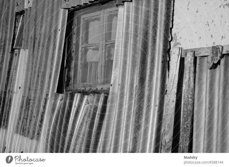 Old grey wooden window with fly screen in the dilapidated corrugated iron facade of an old house in summer sunshine in the province in the village of Maksudiye near Adapazari in the province of Sakarya in Turkey, photographed in neo-realistic black and white