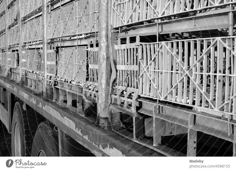 Bars of the cages of a large cattle truck for poultry in the village of Maksudiye near Adapazari in the province of Sakarya in Turkey, photographed in neo-realistic black and white