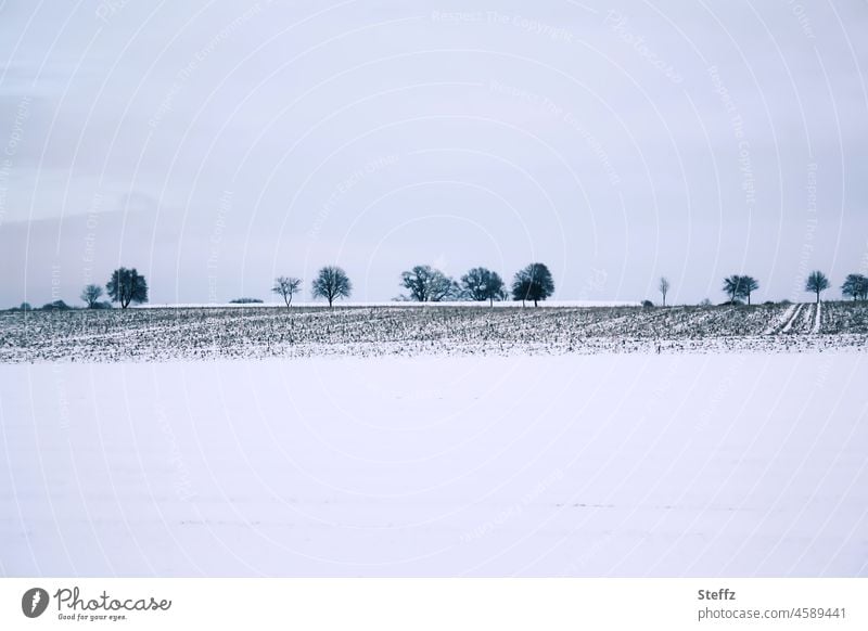 quiet winter landscape on a grey winter day in Lower Saxony Calm Snow country love tranquillity Rural rural idyll Winter mood Winerruhe December December light