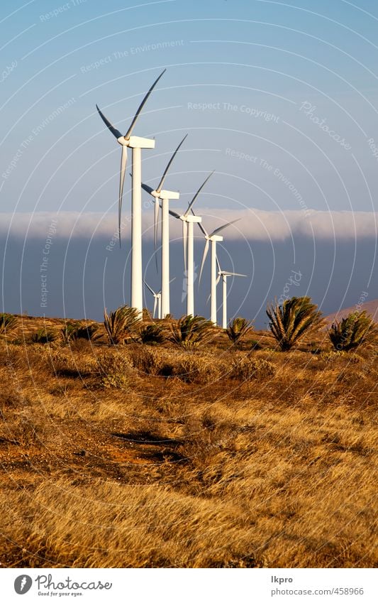 in the isle of lanzarote spain Plate Vacation & Travel Renewable energy Wind energy plant Nature Plant Sky Clouds Gale Grass Hill Architecture Facade Metal