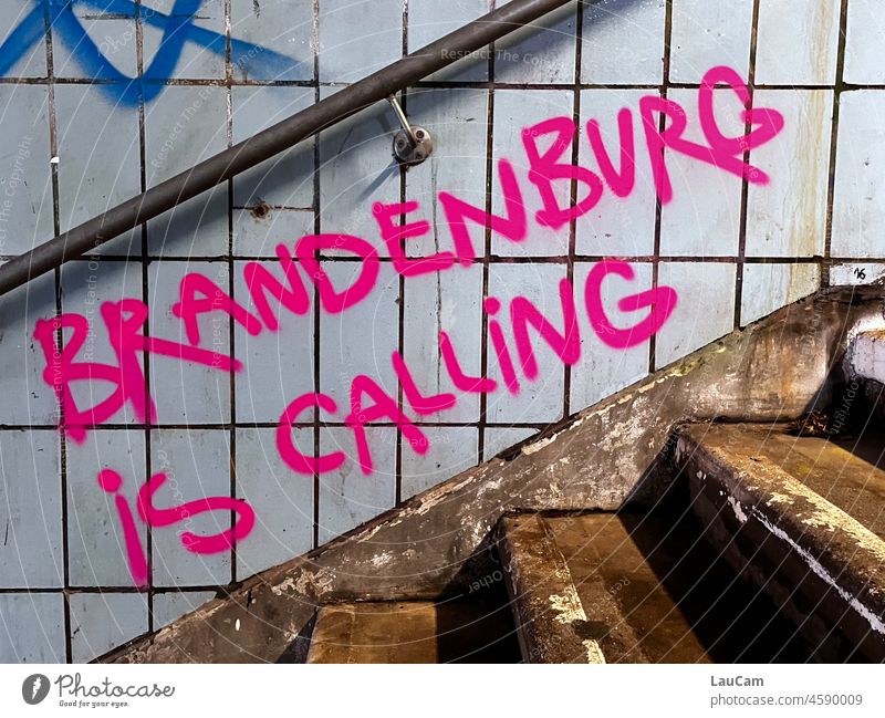 Brandenburg calls - pink graffiti on a staircase Stairs Banister stair treads Graffiti writing street art Pink Train station Staircase (Hallway) Downward Upward