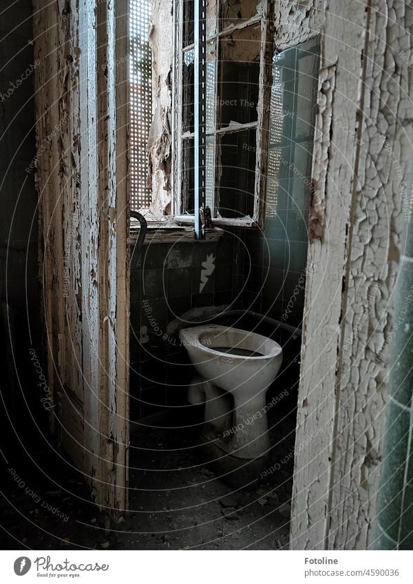 Lost Klo - Nobody wants to sit on this toilet anymore Toilet john LAVATORY Deserted Colour photo Sanitary Interior shot frowzy filth dirt Dirty lost places