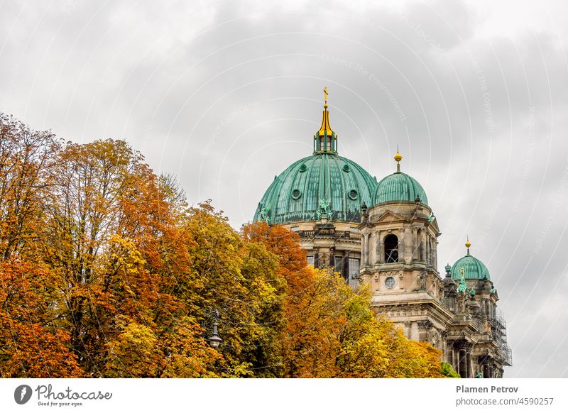 The dome of the Berlin Cathedral ( Berliner Dom ) and the colorful autumn crowns of the trees in the foreground on a cloudy day. Autumn in Berlin, Germany.