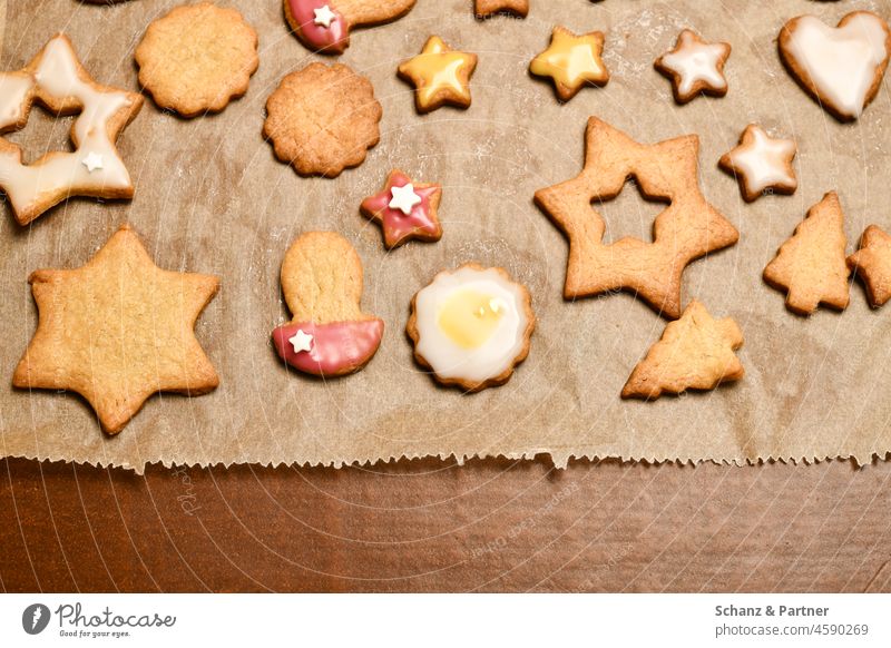 Christmas cookies with icing on baking paper Stars stars Cookie biscuits Advent Baking Sugar Icing Mushroom shape cookie cutter Christmas biscuit Baked goods