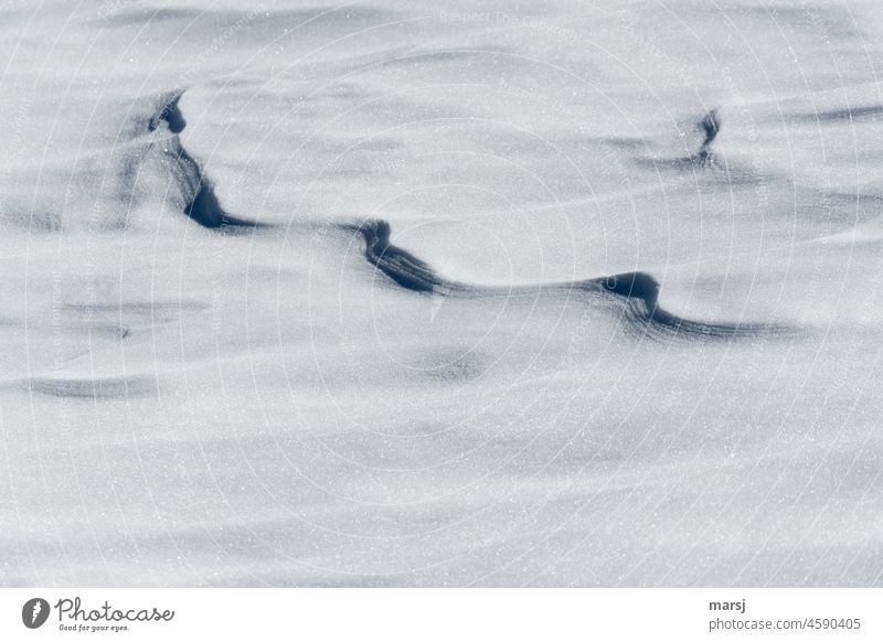 Puzzles from snow chill Winter's day Snowscape Snow layer Black hole Shadow Abstract Contrast Structures and shapes windswept winter snowfield freshly-snowed