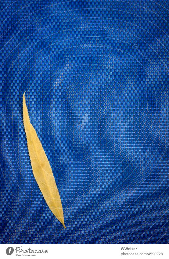 A narrow yellow leaf lies on a blue braid Leaf blue and yellow Colour Nature texture structure Autumn wickerwork Plaited Minimalistic background Exterior shot