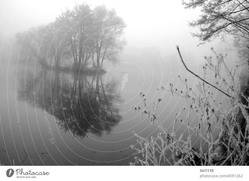 thick fog at the lake Winter dense fog Experiencing nature Mysterious Mystic foggy Misty atmosphere cloudy weather Water Lake spit Frost Hoar frost