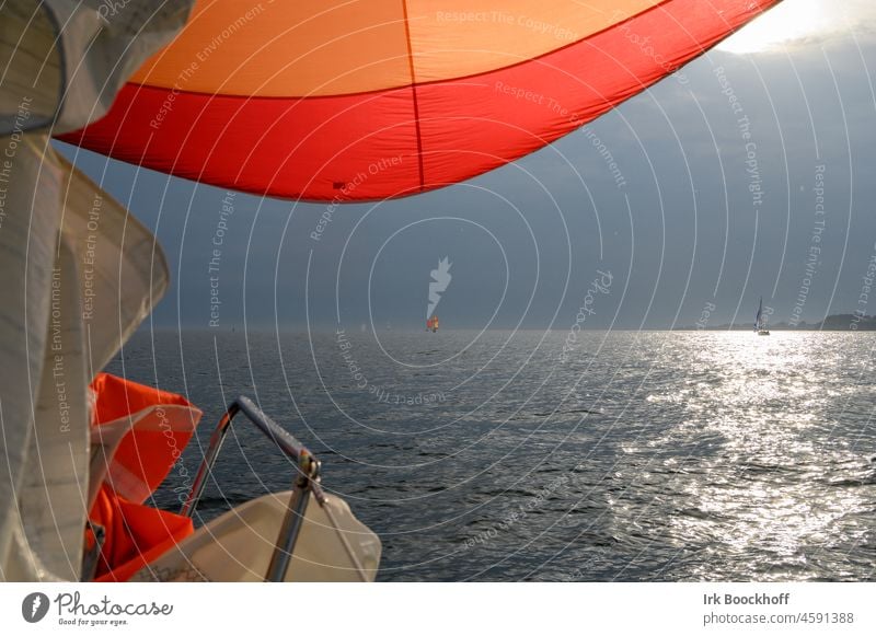 sail with the spinnaker against the setting sun Wanderlust Far-off places Spinnaker Freedom Relaxation Wind Sail Sports Exterior shot Aquatics Vacation & Travel