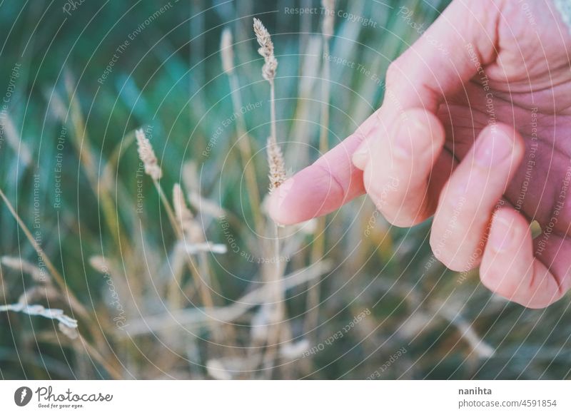 Man's hand touching a fragile spike delicate fragility nature close close up summer fall autumn colors macro skin man male body body part no people grass