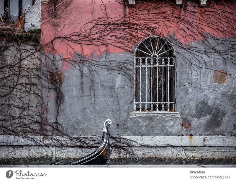 An old weathered facade with climbing plant and window, in front of it a piece of a gondola. A fragment of Venice. Facade Old weathered charm Decline Window