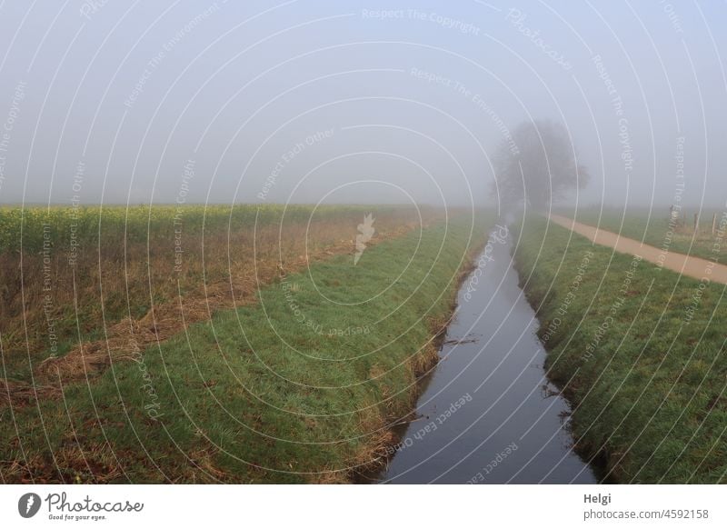 Fog atmosphere - small river between fields with path and tree in fog Landscape Nature Misty atmosphere River Field off Tree Margin of a field Water Grass bank