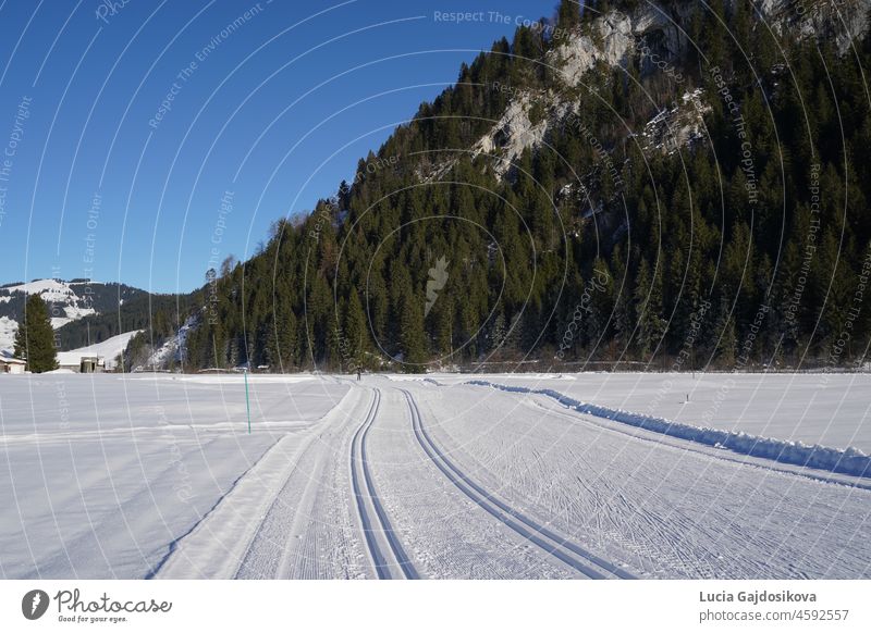 Groomed ski trails for cross-country skiing in winter landscape in valley Studen, Switzerland famous for winter sport. Flat landscape is surrounded by mountains and illuminated by midday sun.
