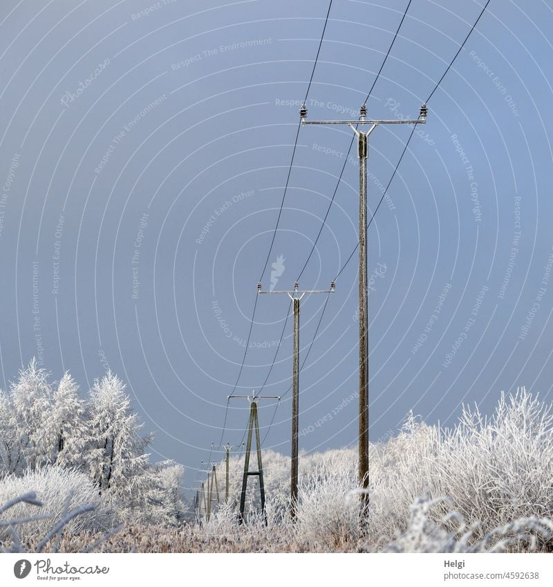 Winter magic - several storm poles in a row in winter landscape covered with hoarfrost in front of blue sky Electricity pylon wooden pole power supply Landscape