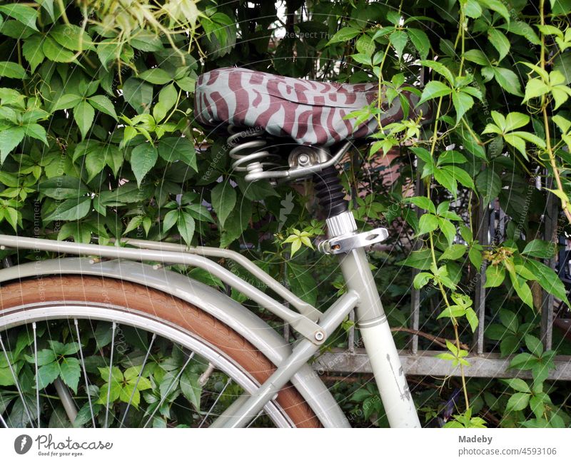 Grey ladies bike with saddle cover in camouflage look in front of an iron fence with wildly growing green in the north end of Frankfurt am Main in Hesse Germany