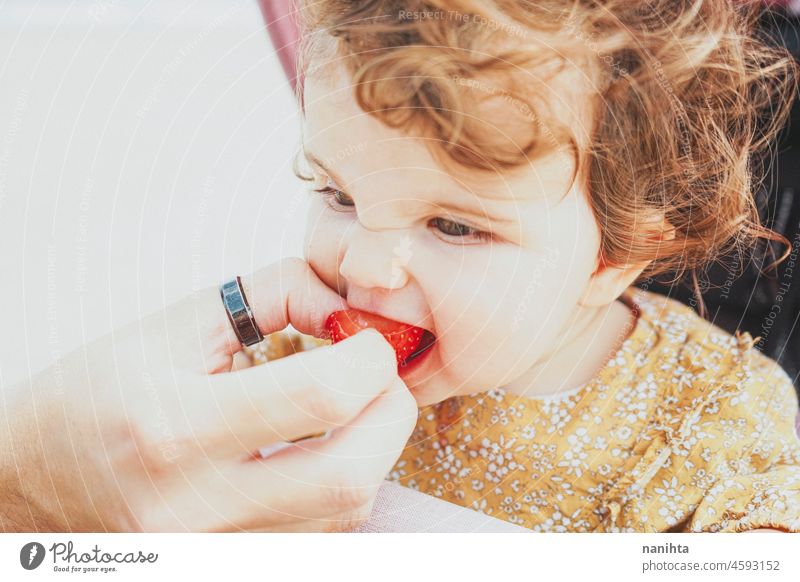 Little baby girl eating a strawberry blw feed fruit learn life face adorable lovely parenting child toddler babyhood nutrition care vitamin delicious temptation