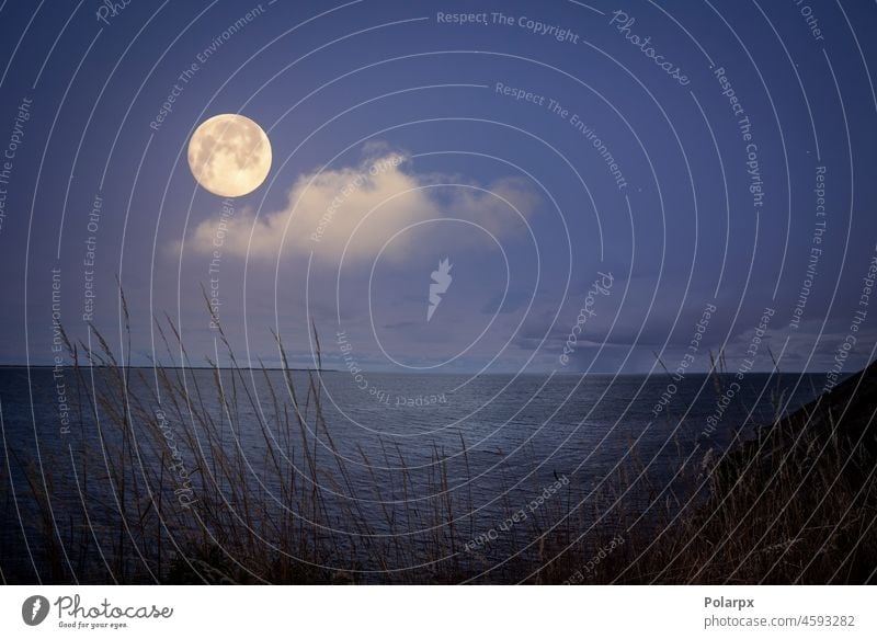 Full moon over the sea with sparkling stars full moon horizontal mysterious glowing romantic romance serenity seascape silence tranquil twilight mystery ocean