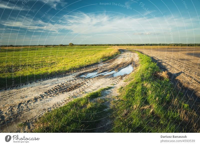 Puddle on dirt road, fields and clouds on the sky puddle rural country landscape grass horizon nature water agriculture path weather blue green summer way