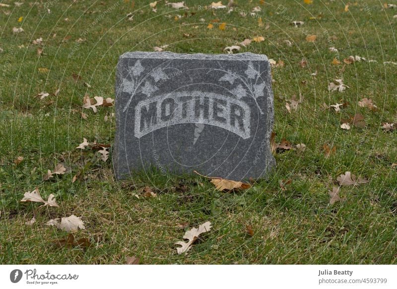 Vintage gravestone that simply says "MOTHER" with ivy carvings around it; autumn leaves on ground mother mom motherhood woman female identity identify memory