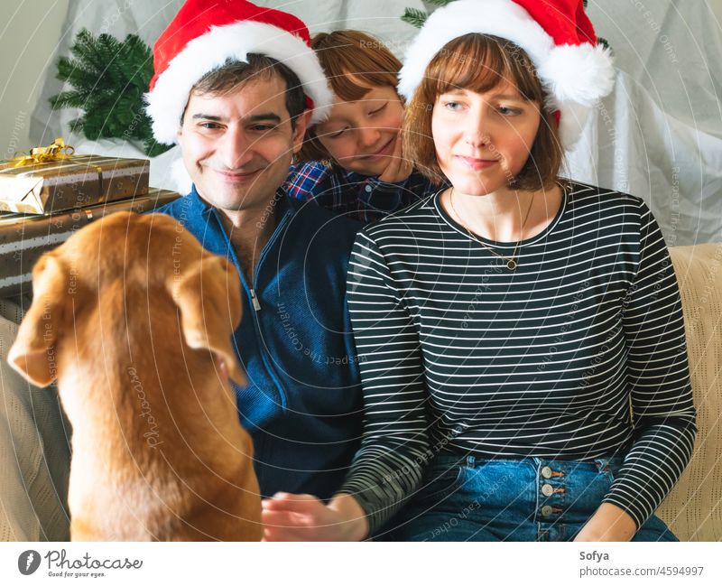 Mother, dad, son in santa caps and dog on christmas father mother family enjoy lifestyle love december pet play smile kid new year winter caucasian fun
