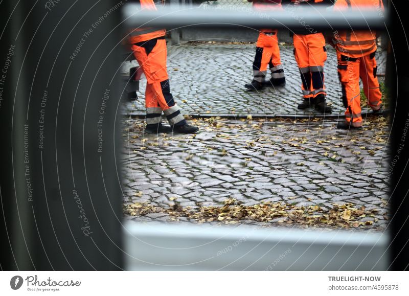Clean and fresh into the new year: men from the city cleaning service in orange overalls stand on the pavement with the remains of autumn leaves and are just taking a break from work